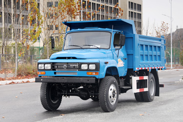 170馬力東風4×4越野尖頭卡車_四驅(qū)前2.5噸后8噸專用載貨_全驅(qū)定制貨車